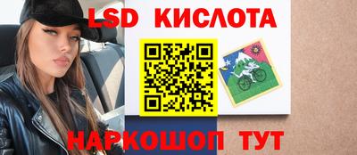 крисы Можга