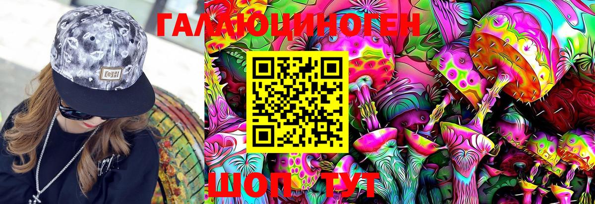 Псилоцибиновые грибы Psilocybine cubensis  Вход с VPN  Тавда 