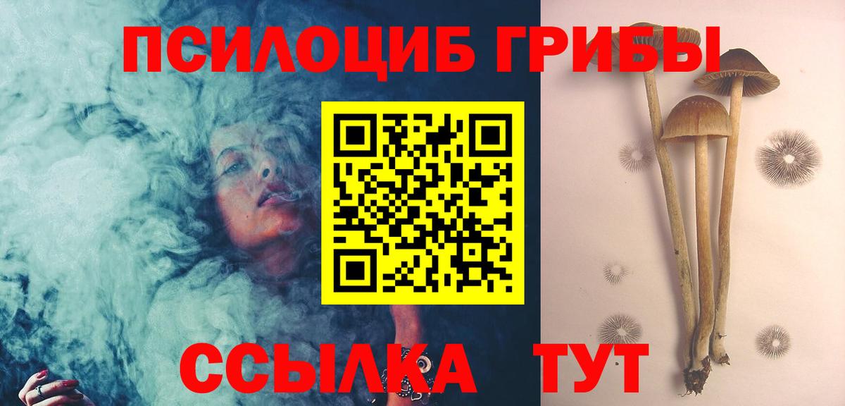 Галлюциногенные грибы MAGIC MUSHROOMS Тавда